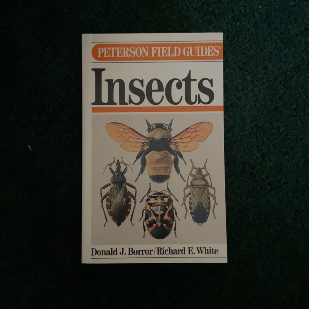 Insects Peterson Field Guides